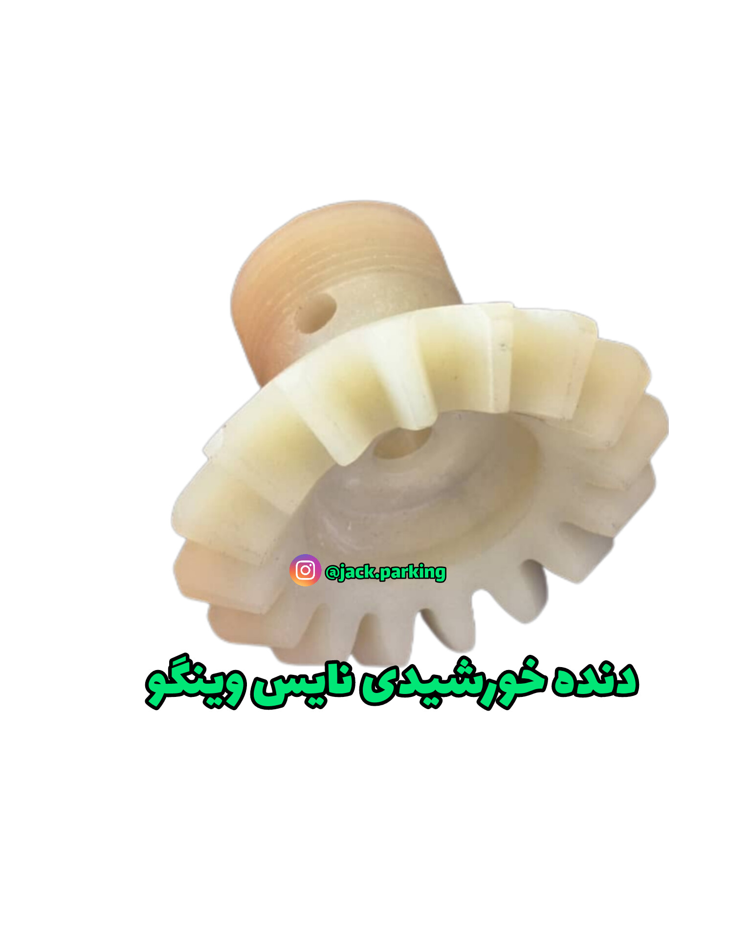 دنده سر ماردون جک نایس وینگو